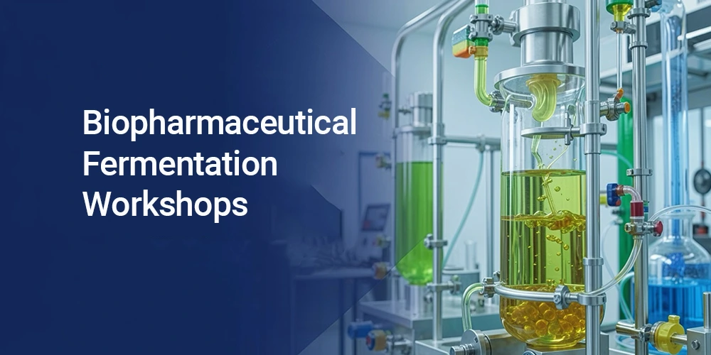 Why Biopharmaceutical Fermentation Workshops Need Explosion-Proof Lighting