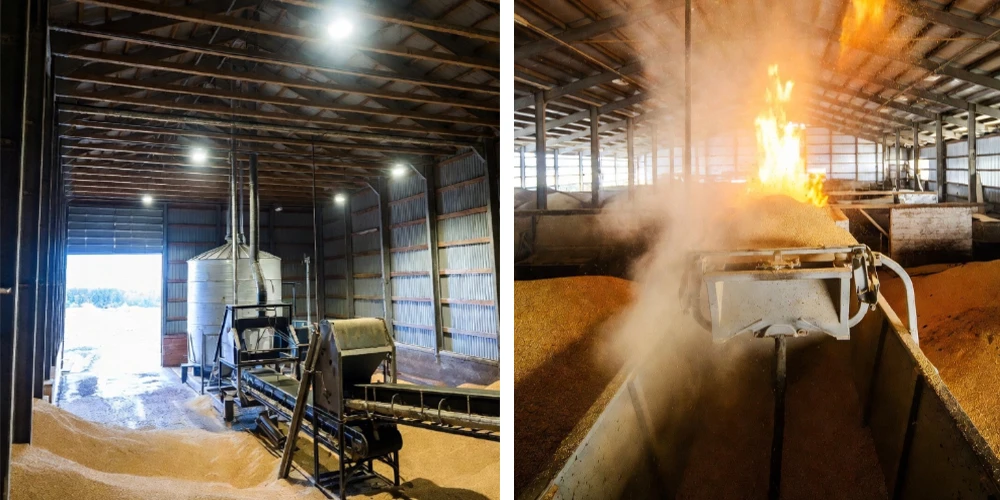 Explosion-Proof Lighting for Grain Barn Dust Hazards